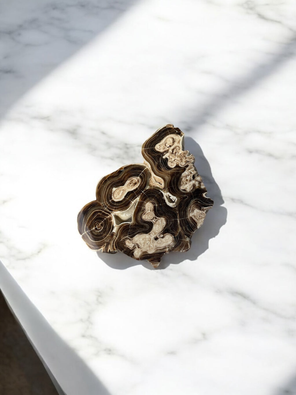 Bruine (Chocolade) Calciet Schijf