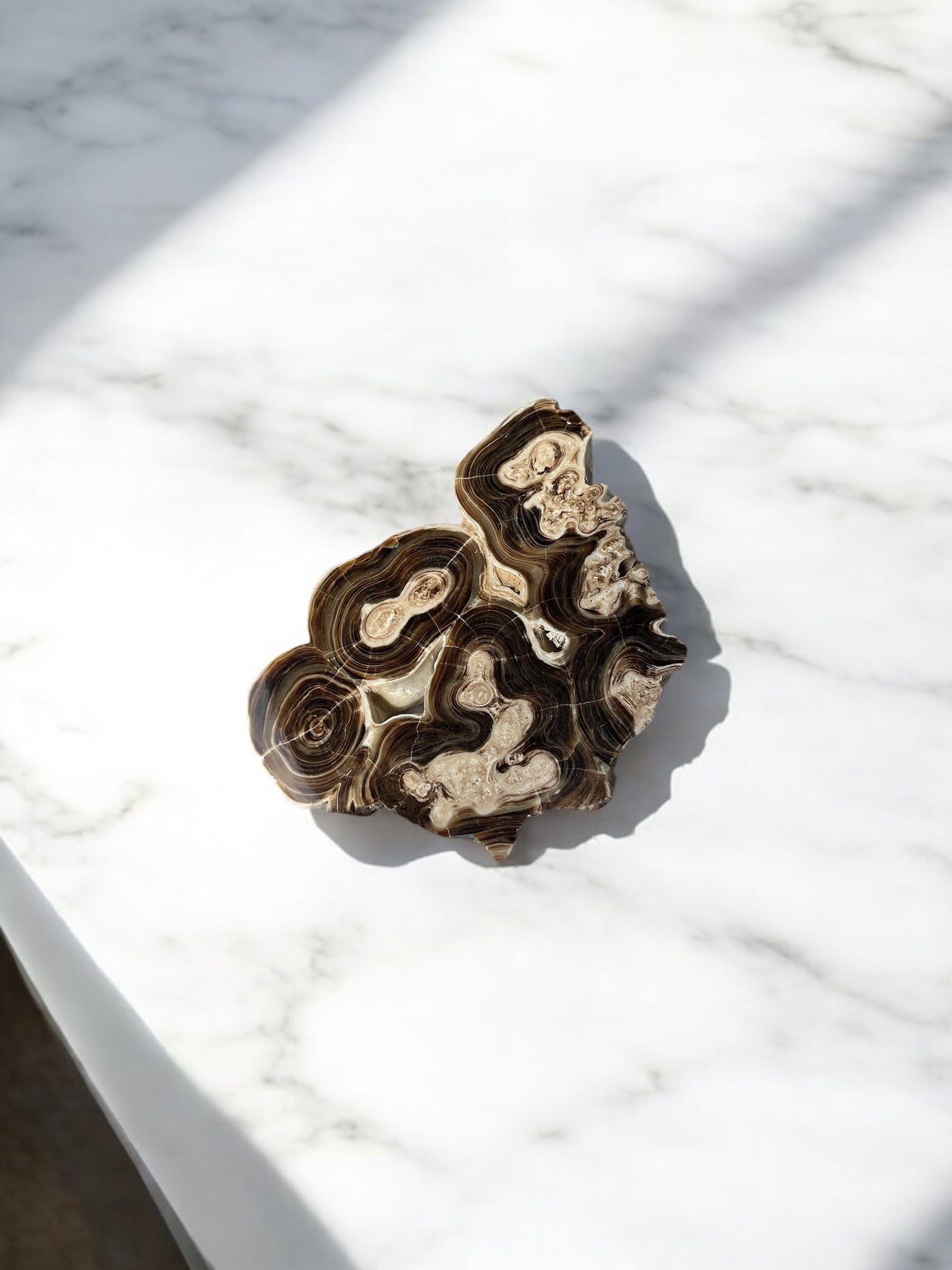 Bruine (Chocolade) Calciet Schijf