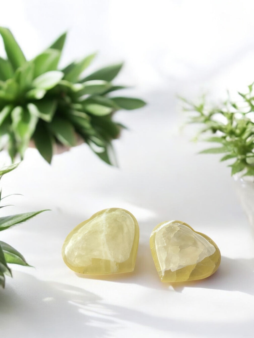 Lemon Calciet Hartjes