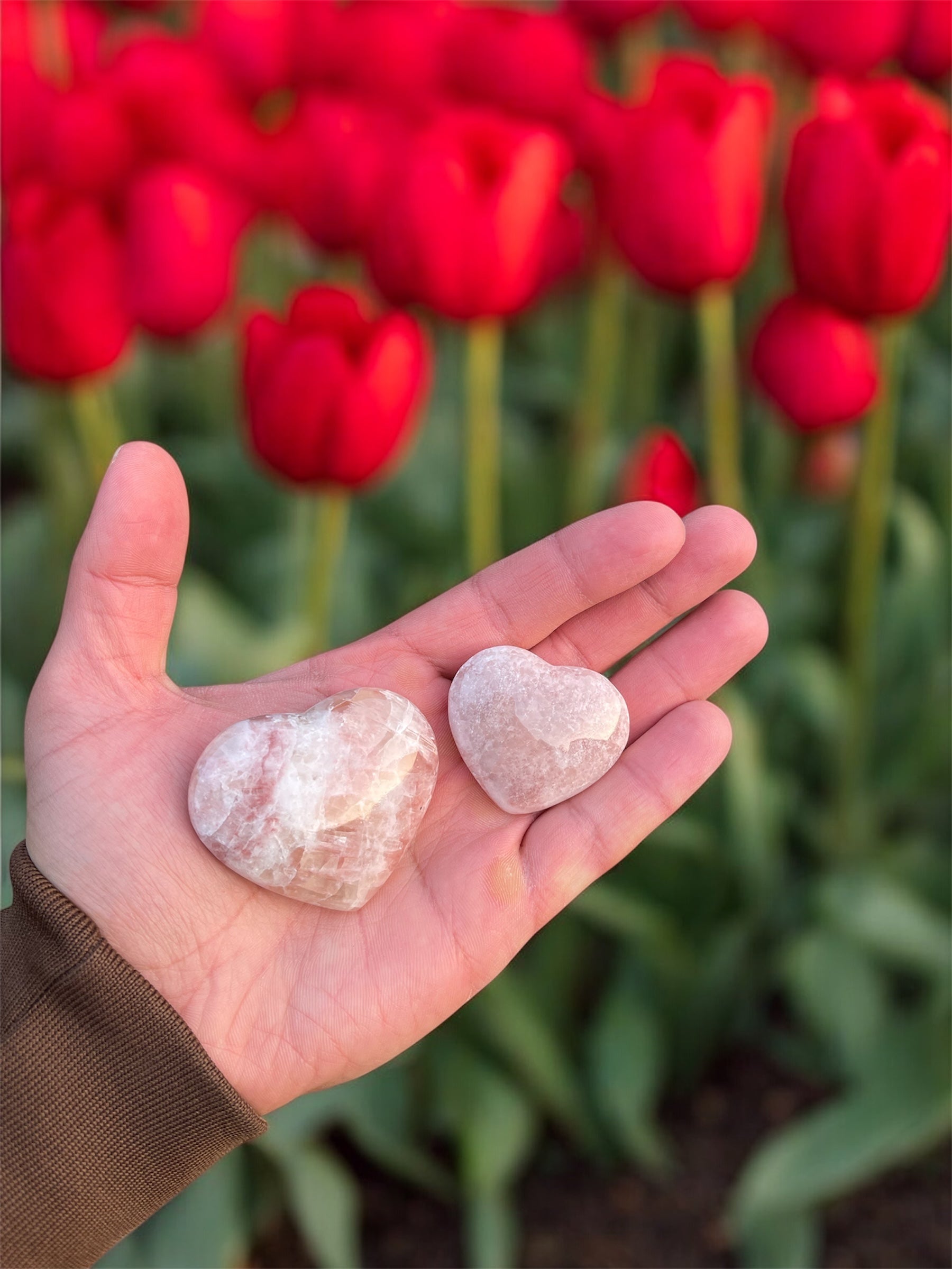 Rode/roze Calciet Hartjes