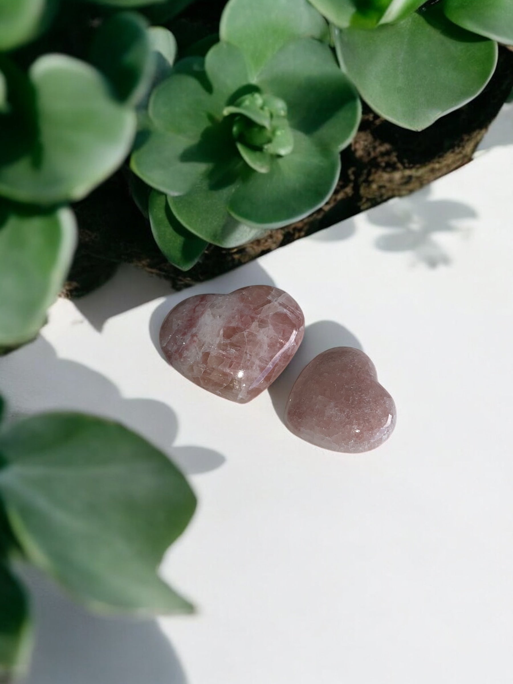 Rode/roze Calciet Hartjes