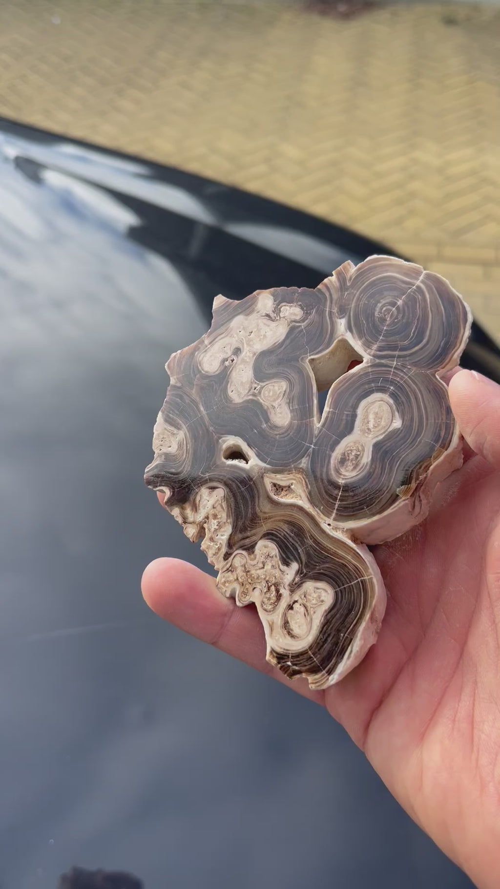 Bruine (Chocolade) Calciet Schijf